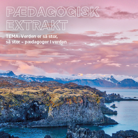 Pædagogisk Extrakt